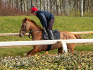 BP200326-41 - It's Hard To Know